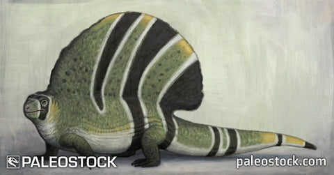 Edaphosaurus stock image
