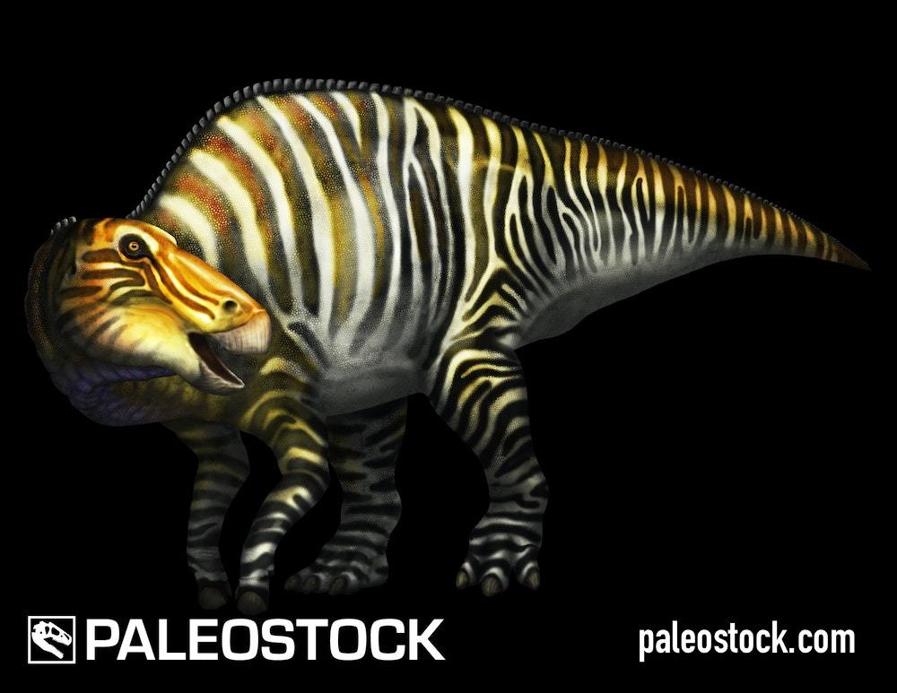 Edmontosaurus stock image