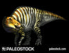 Edmontosaurus stock image
