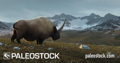 Elasmotherium stock image