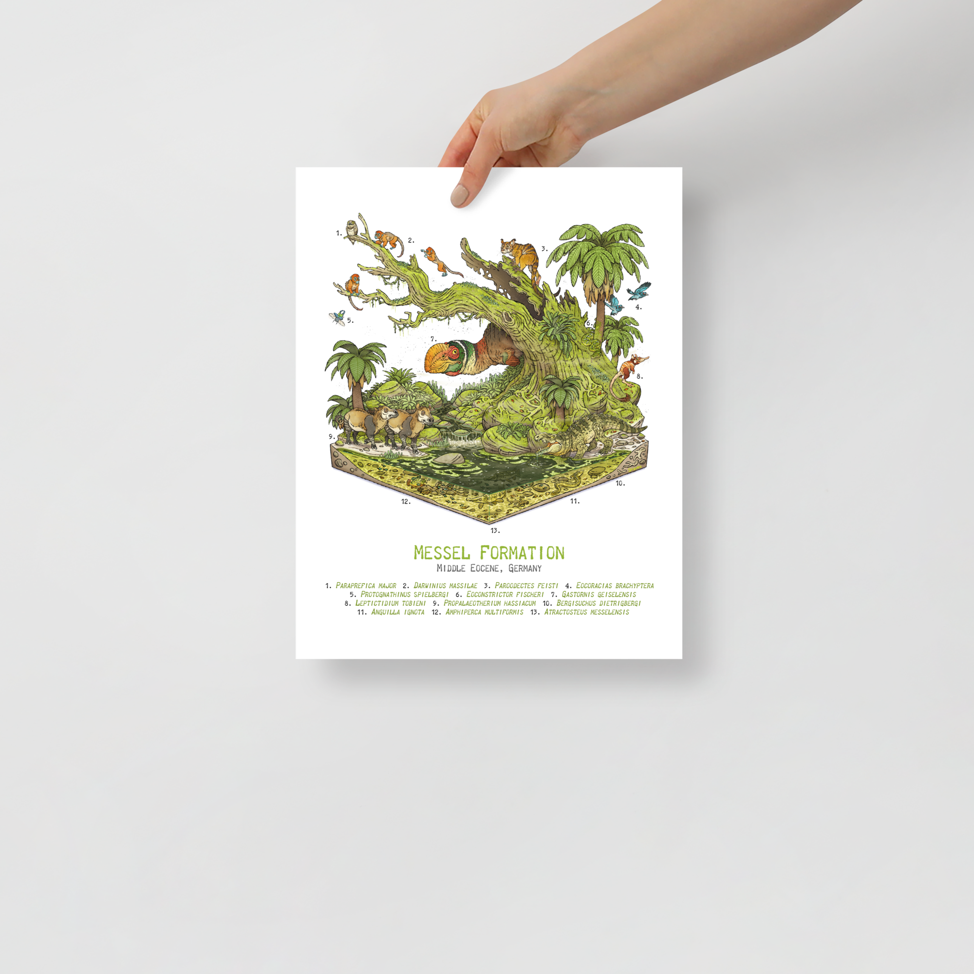 Messel Formation Diorama poster