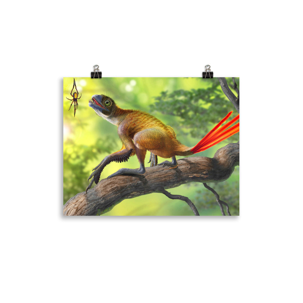 Epidexipteryx poster