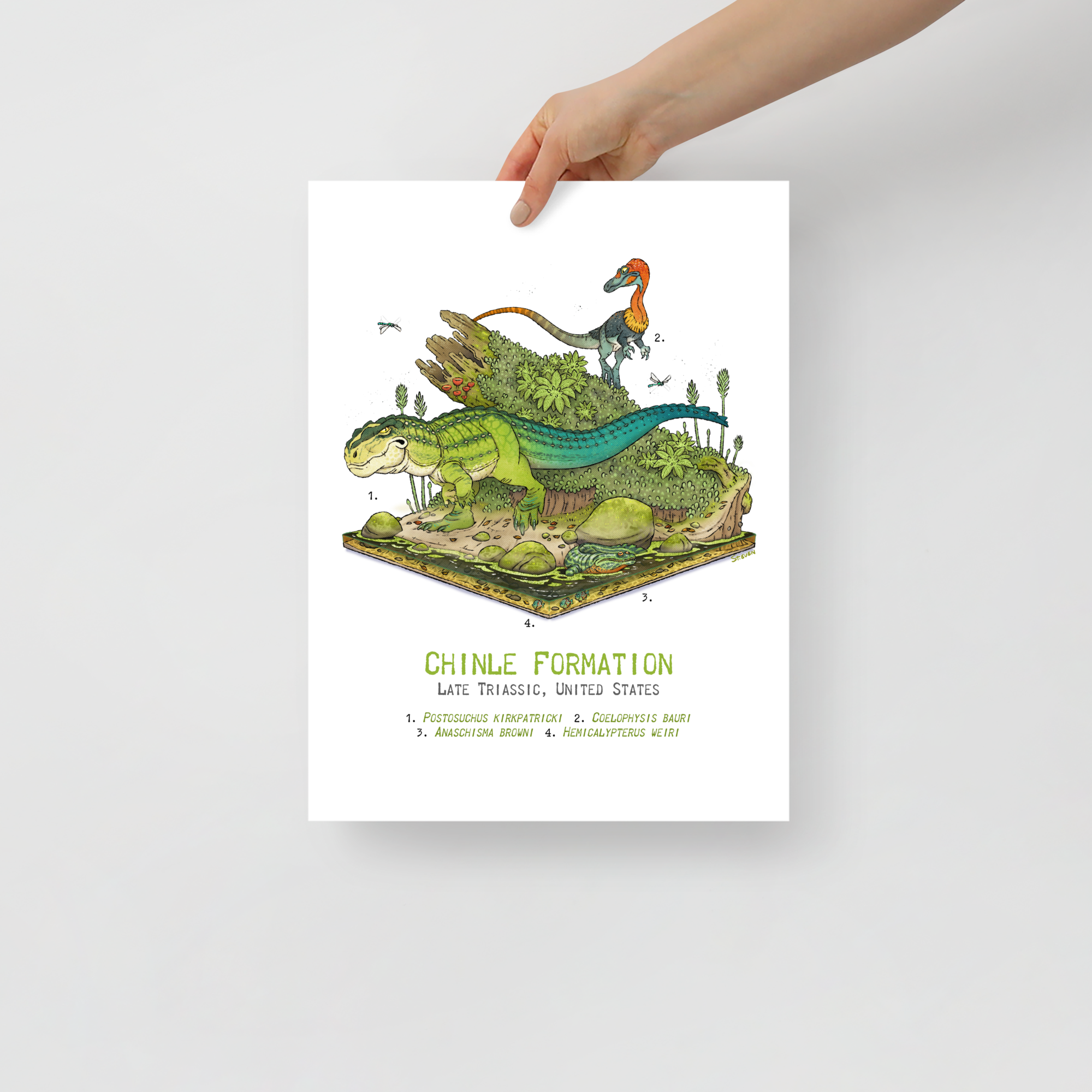 Chinle Formation Diorama poster