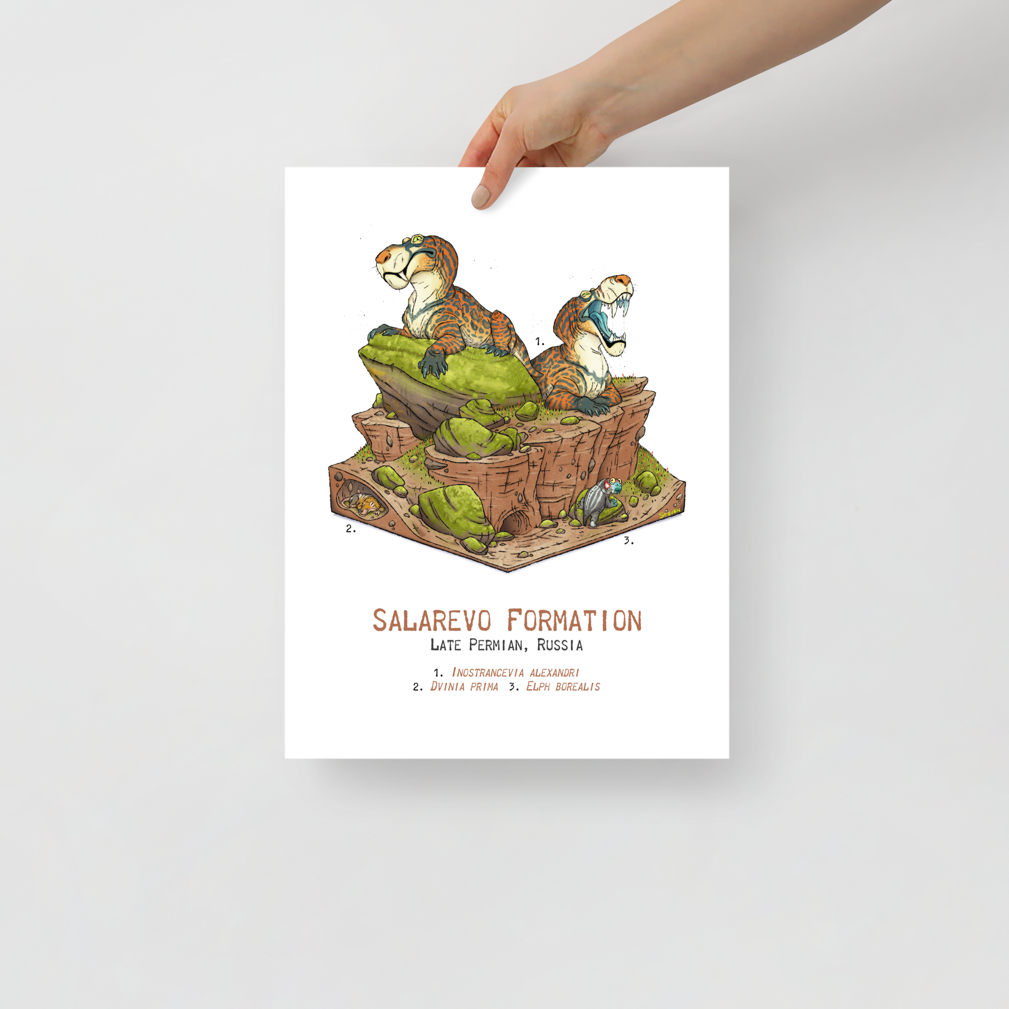 Salarevo Formation Diorama poster