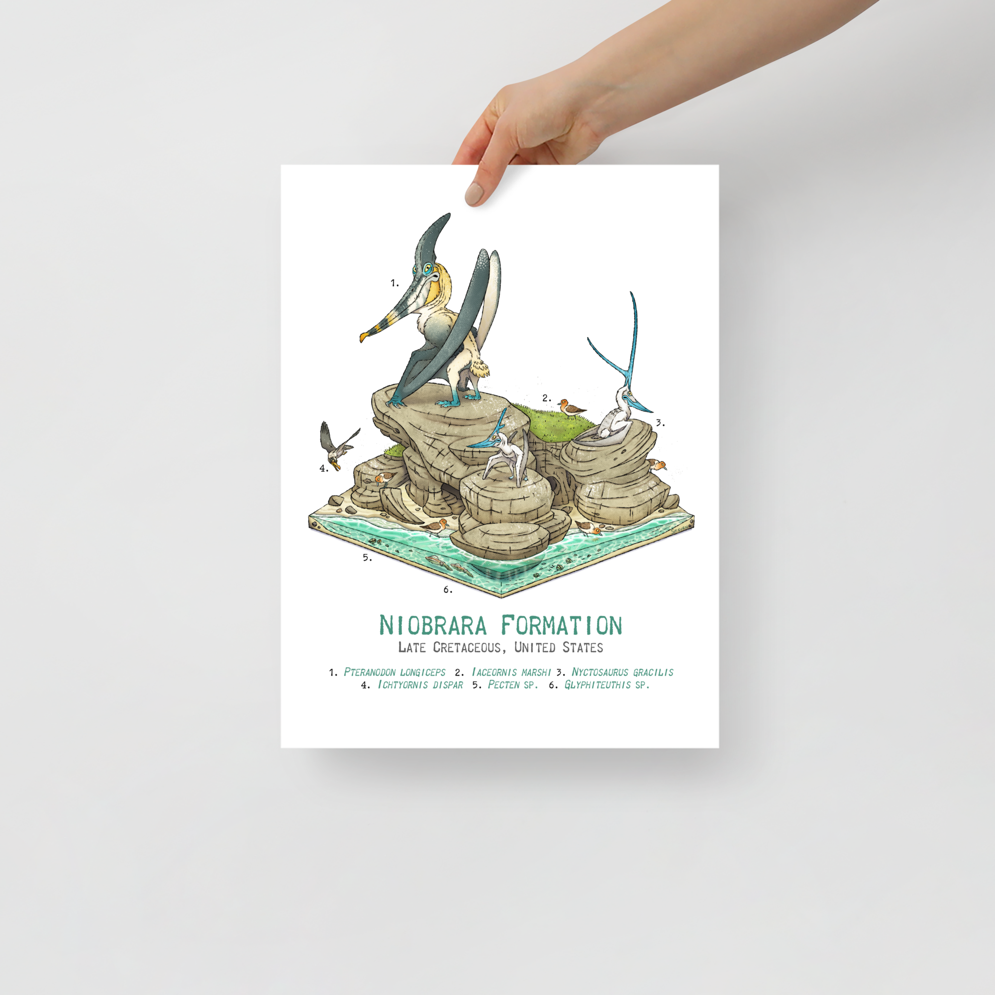 Niobrara Formation Diorama poster