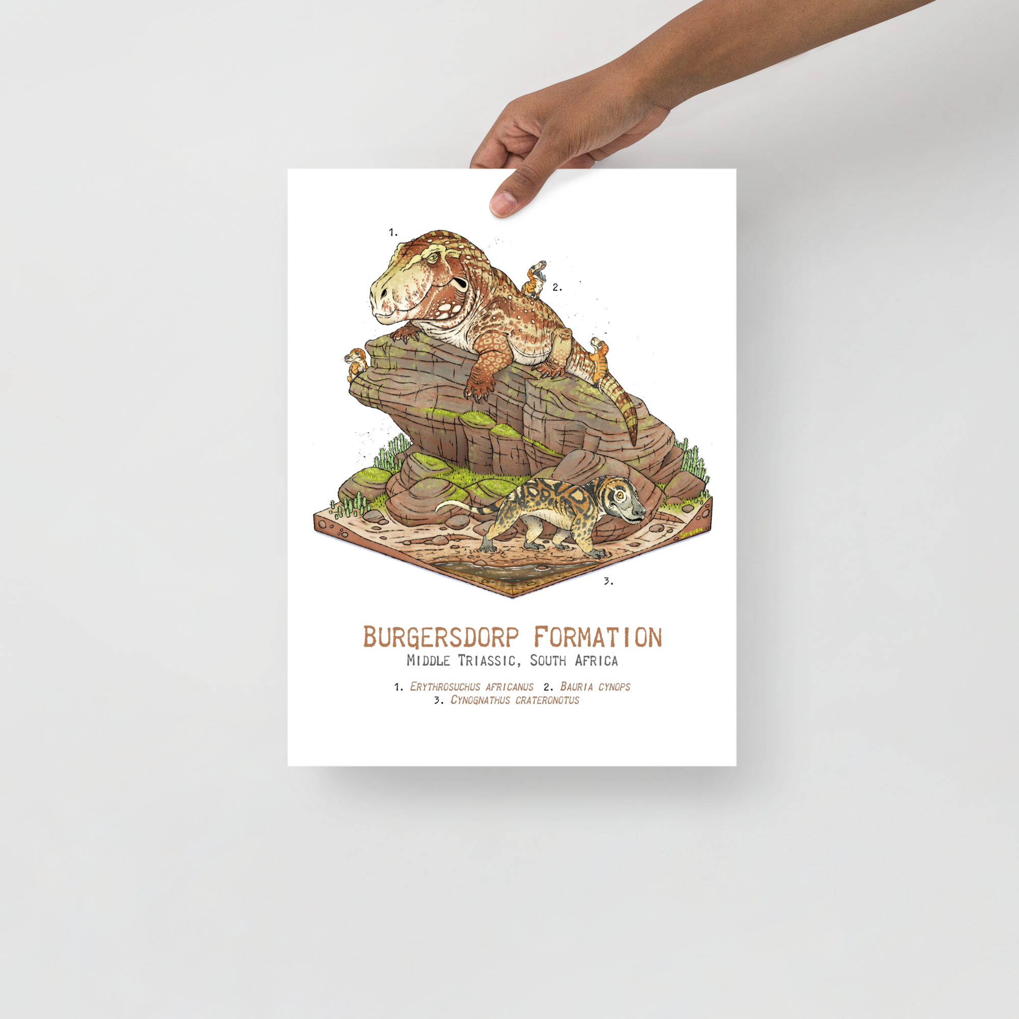 Burgersdorp Formation Diorama poster