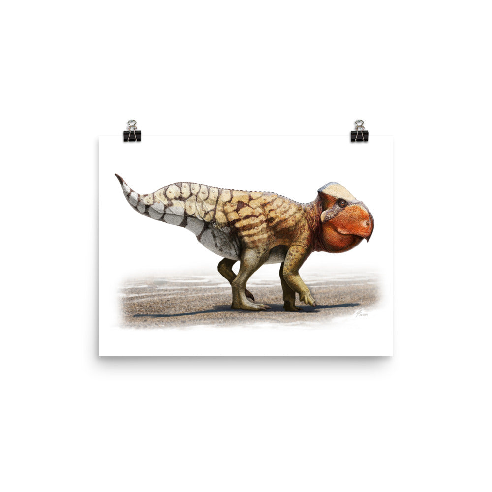 Udanoceratops poster