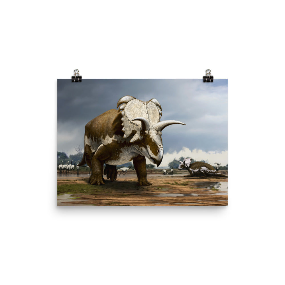 Medusaceratops poster