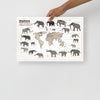 Elephants Among Us poster