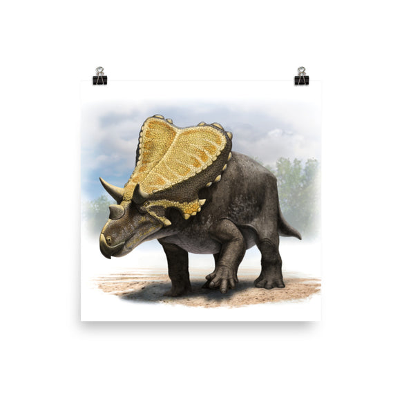 Mercuriceratops poster