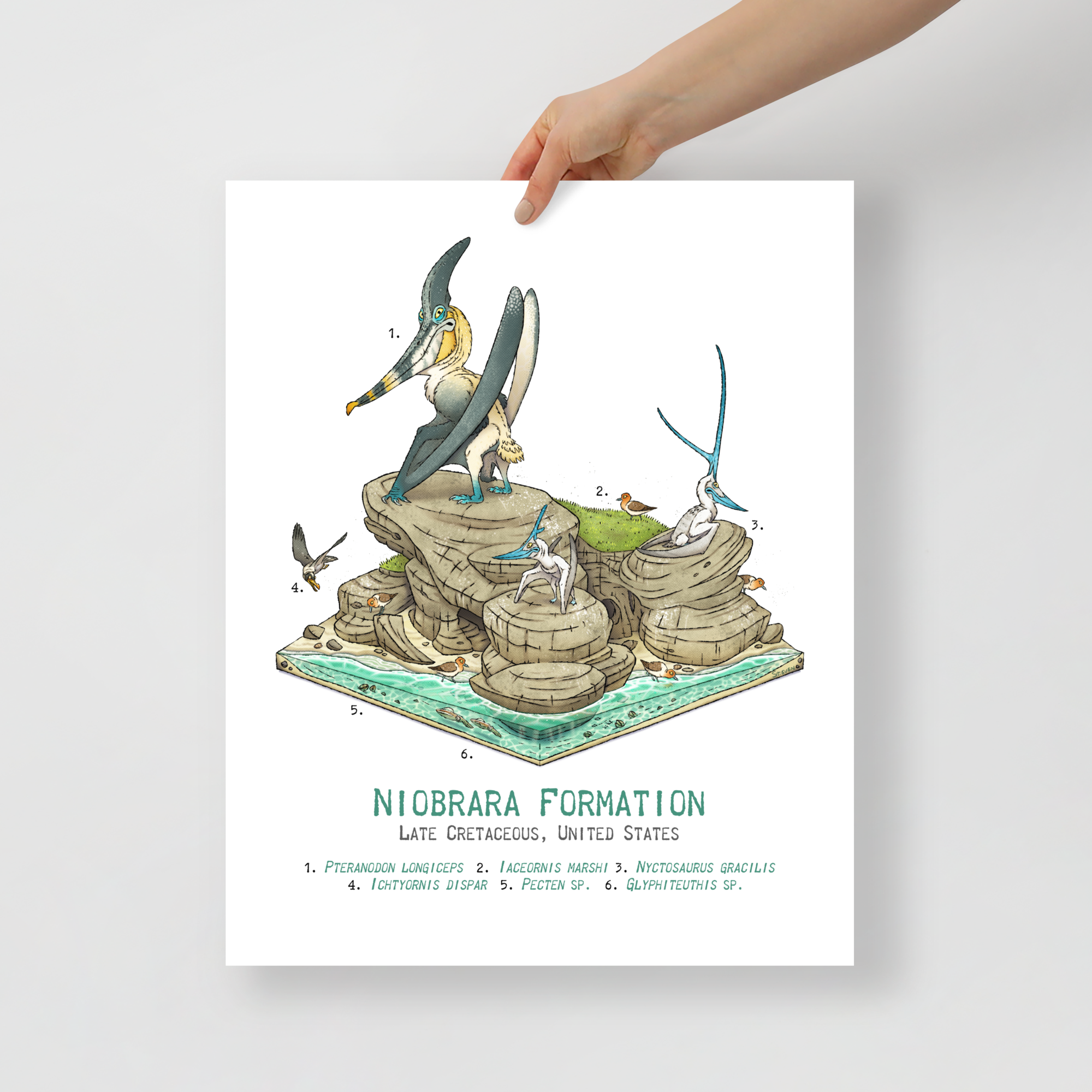 Niobrara Formation Diorama poster