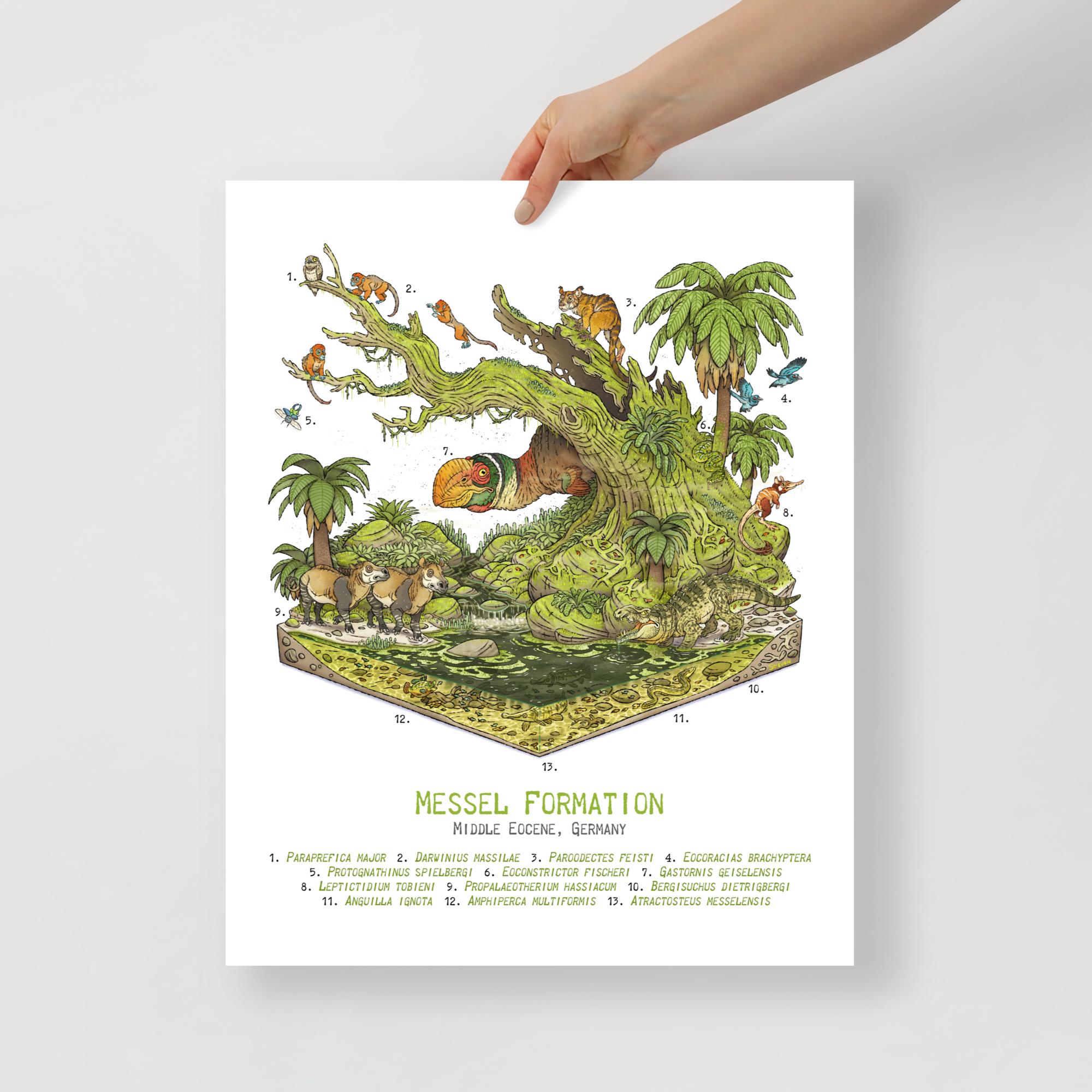 Messel Formation Diorama poster