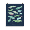 Prehistoric Amphibians poster