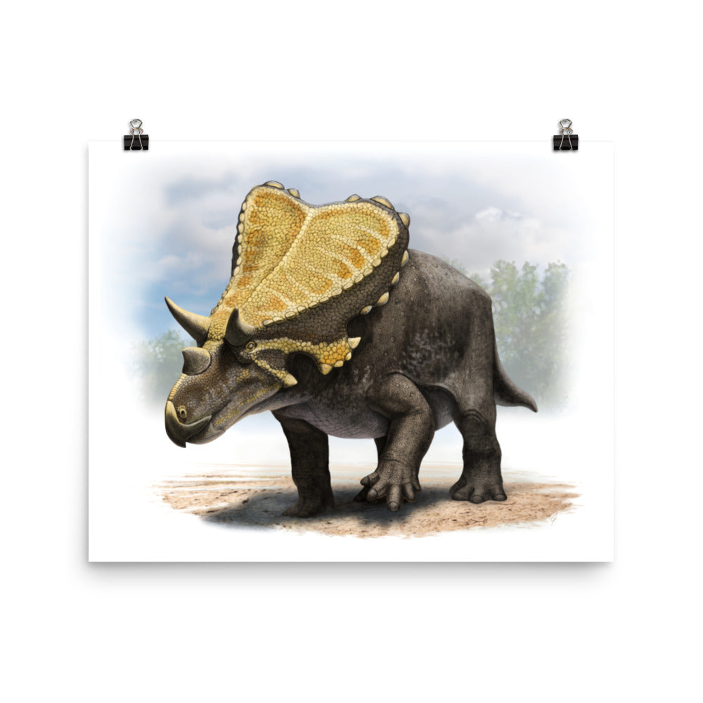 Mercuriceratops poster