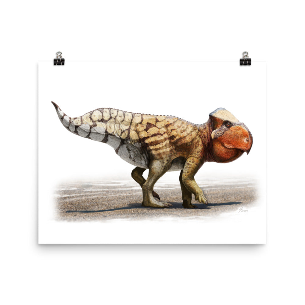 Udanoceratops poster