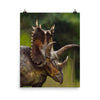 Pentaceratops poster