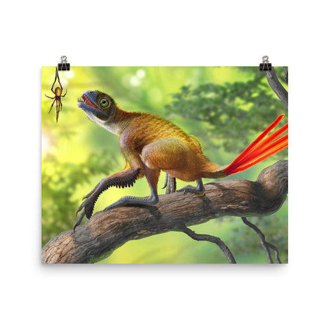 Epidexipteryx poster