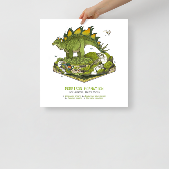 Morrison Stegosaurus Diorama poster