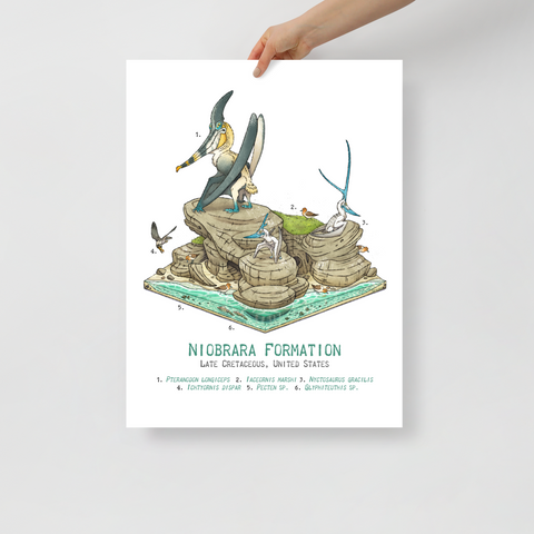 Niobrara Formation Diorama poster