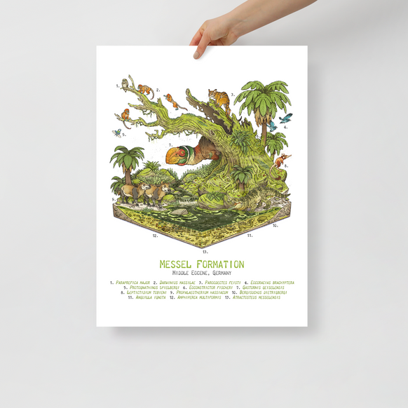 Messel Formation Diorama poster