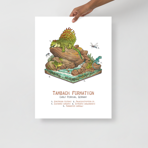 Tambach Formation Diorama poster