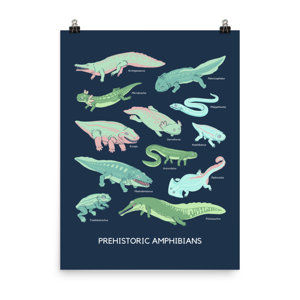 Prehistoric Amphibians poster