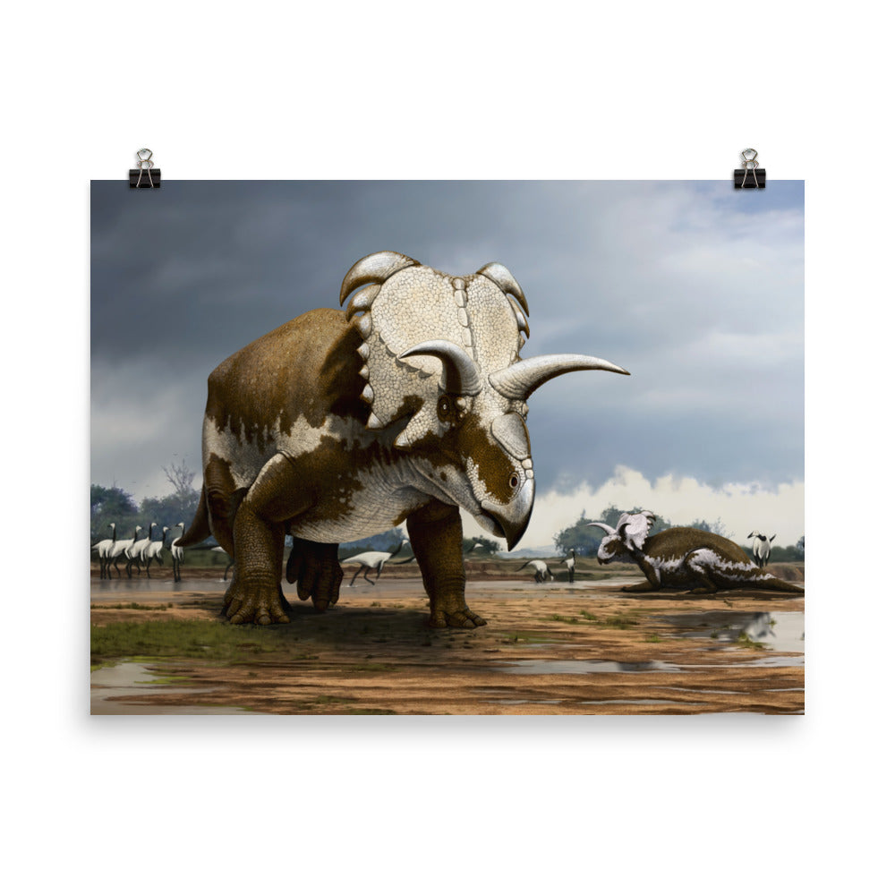 Medusaceratops poster