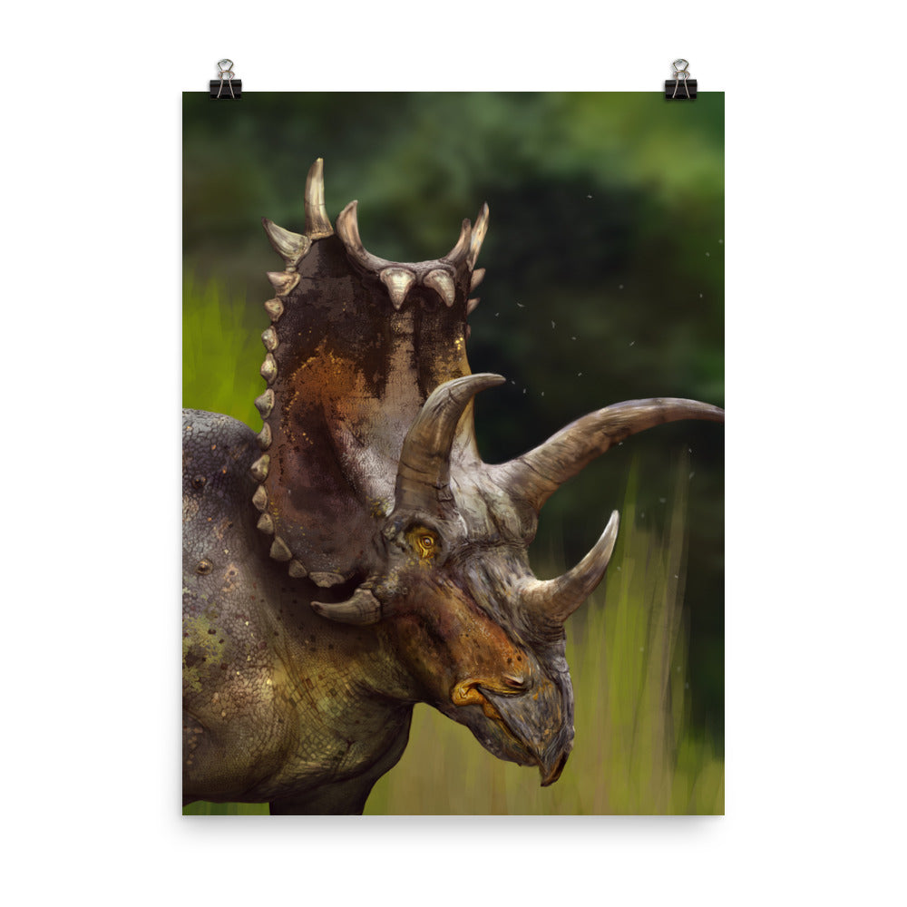 Pentaceratops poster