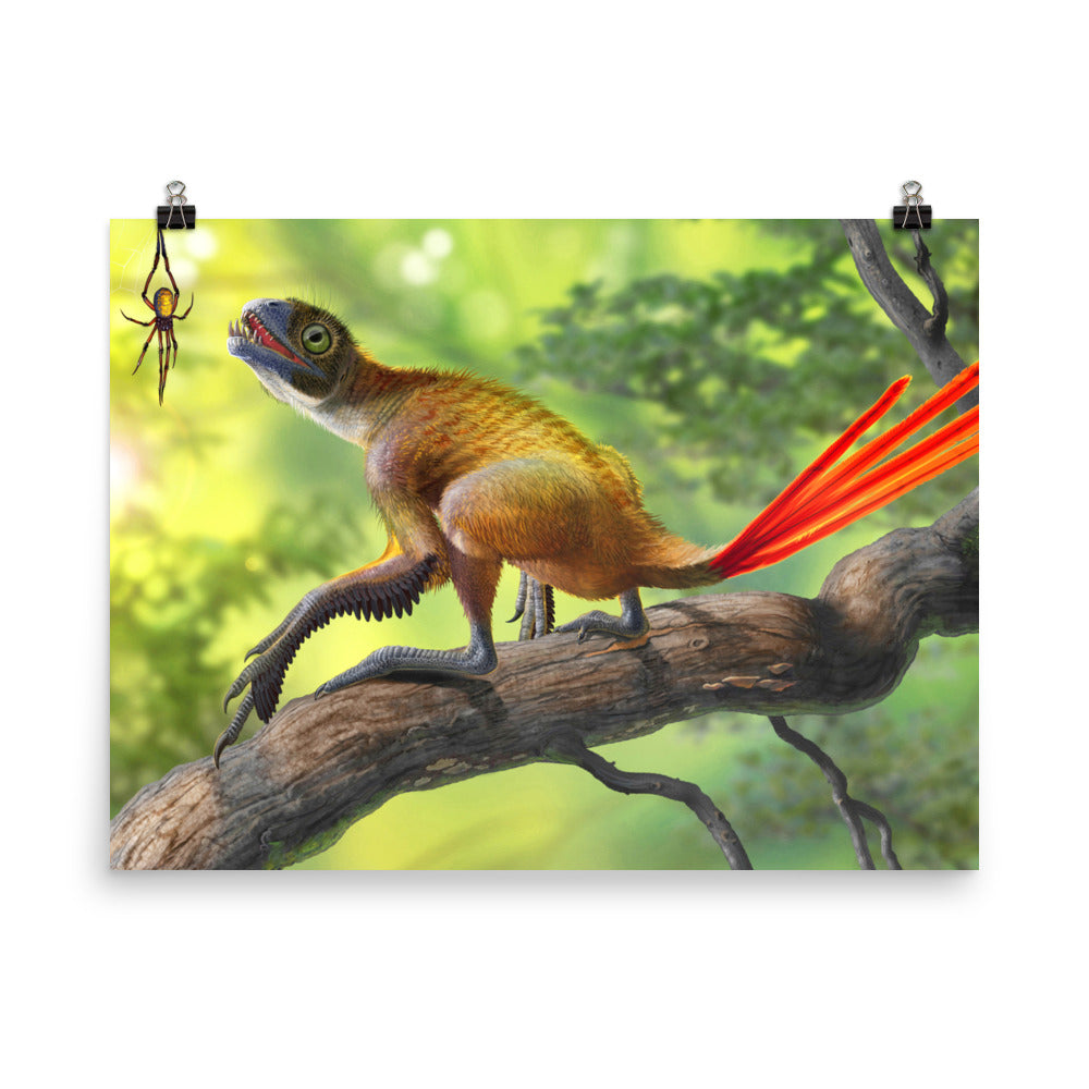 Epidexipteryx poster