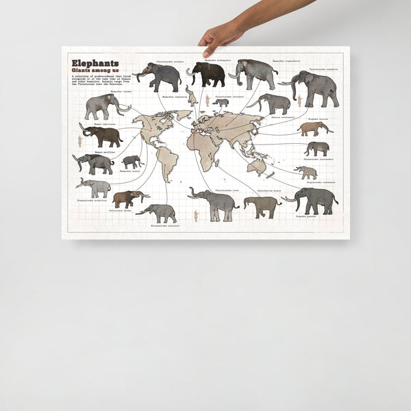 Elephants Among Us poster