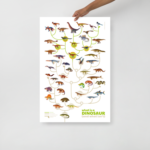What is a Dinosaur poster