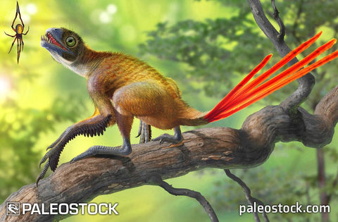 Epidexipteryx hui and Mongolarachne stock image