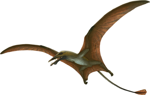 Eudimorphodon ranzii stock image