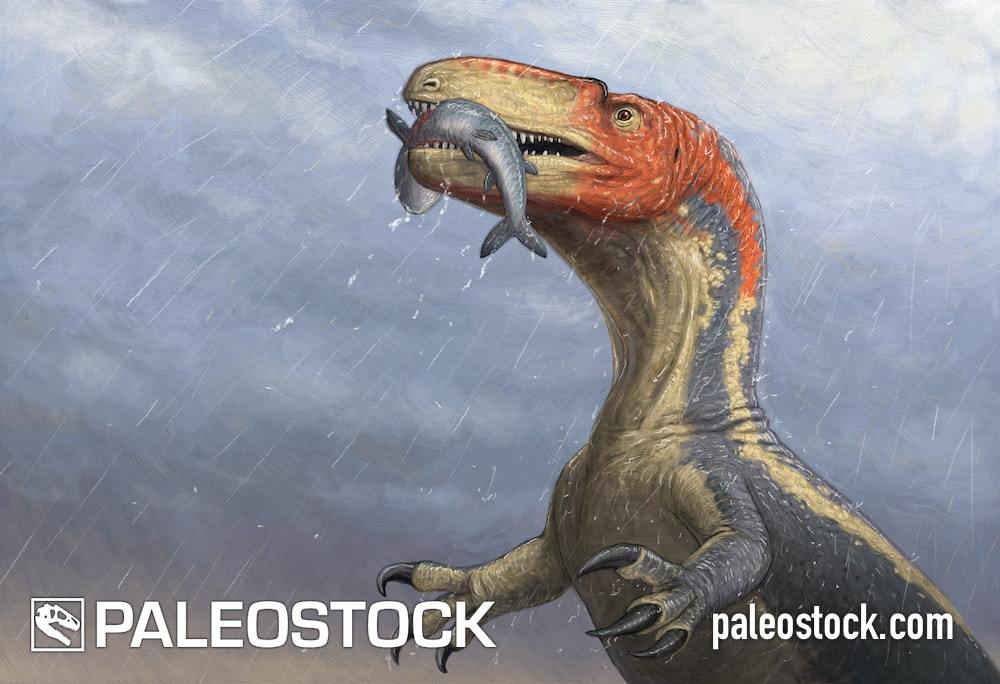 Eustreptospondylus With Fish stock image