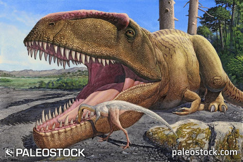 Giganotosaurus carolinii and Alnashetri cerropoliciensis Symbiosis stock image