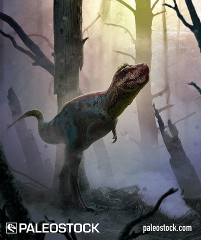 Gorgosaurus Libratus stock image