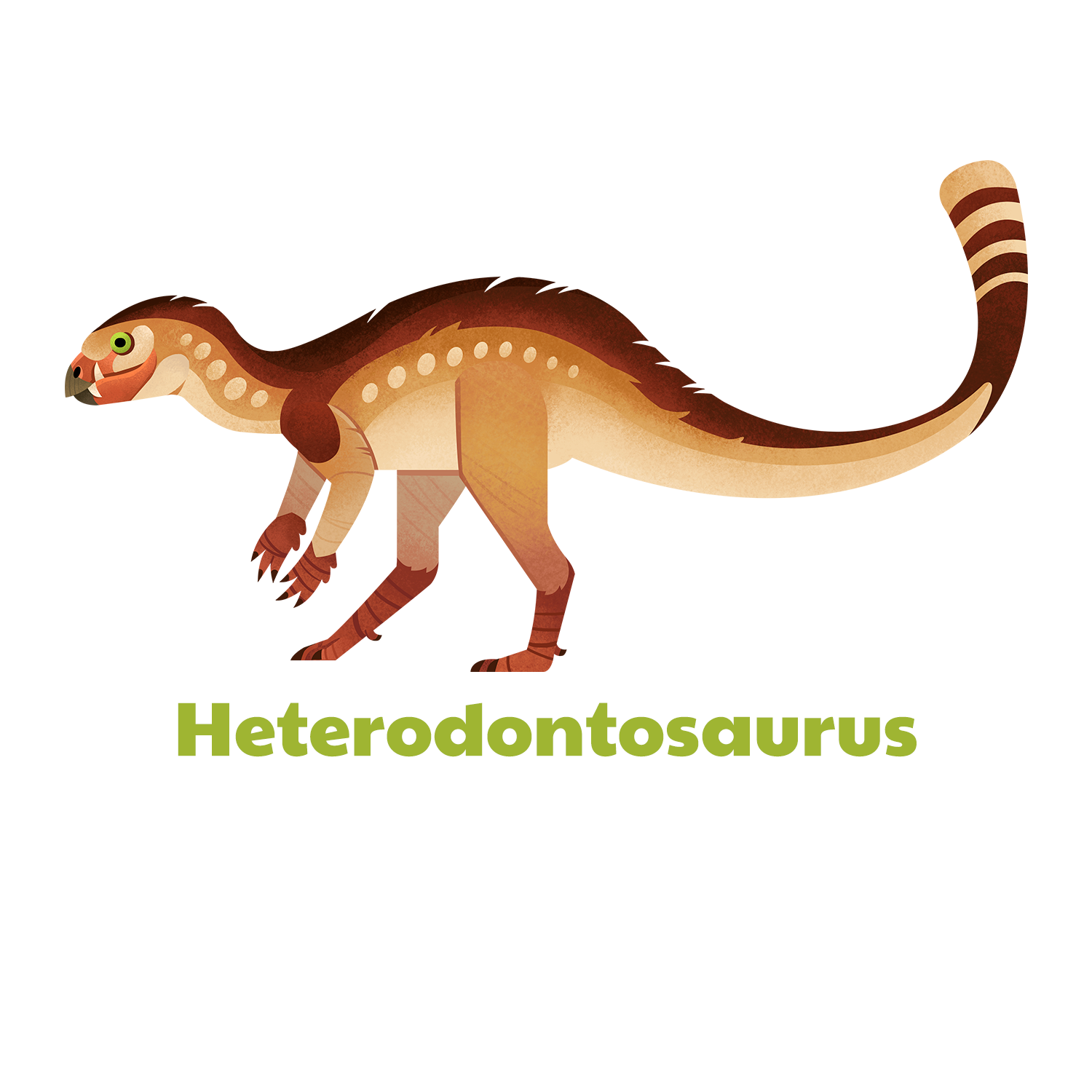 Heterodontosaurus t-shirt