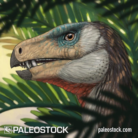 Heterodontosaurus stock image