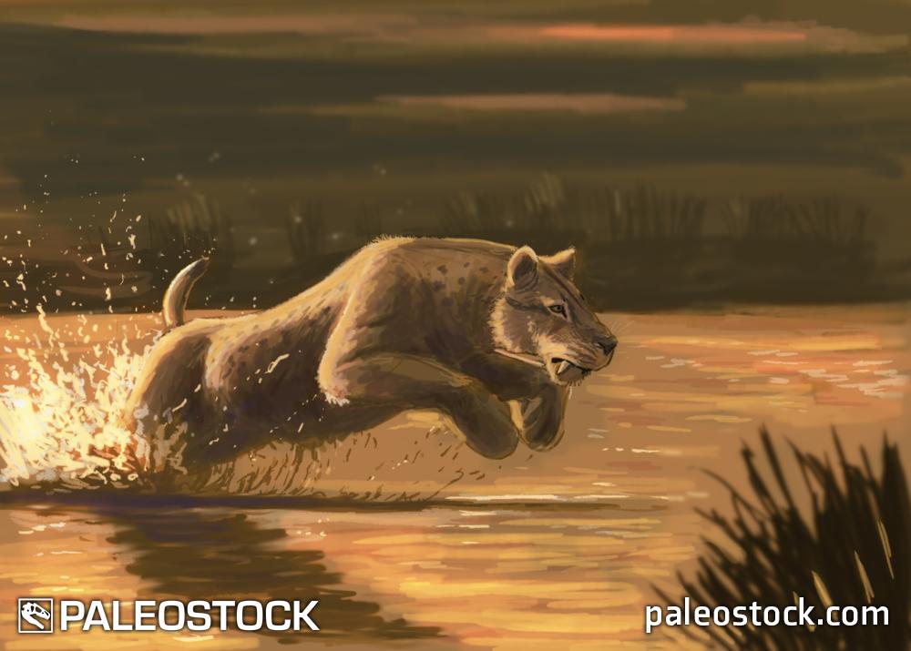 Homotherium stock image