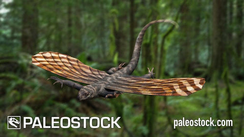 Icarosaurus stock image