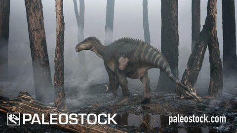 Iguanodon stock image