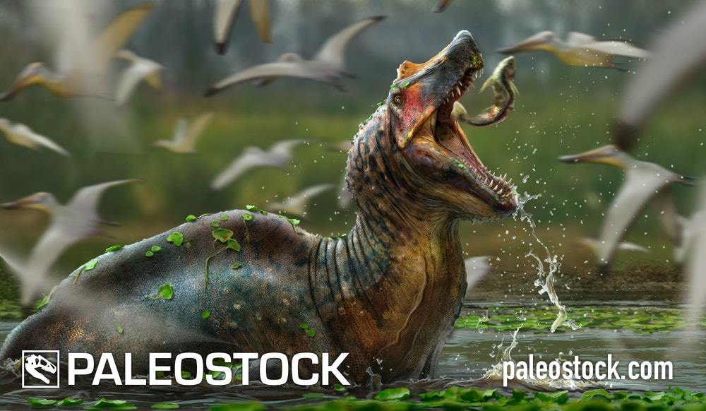 Irritator stock image