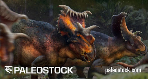 Kosmoceratops stock image
