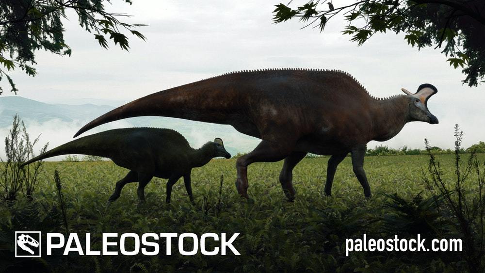 Lambeosaurus stock image