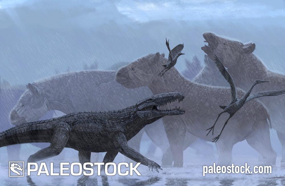 Langstonia stock image