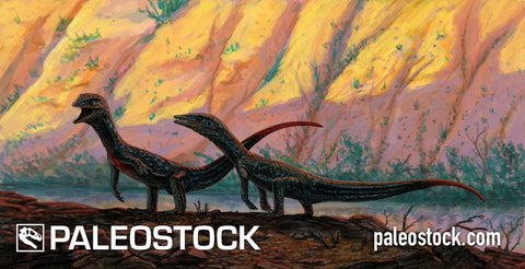Malerisaurus Robinsonae stock image