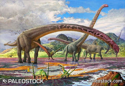 Mamenchisaurus and Sericipterus stock image