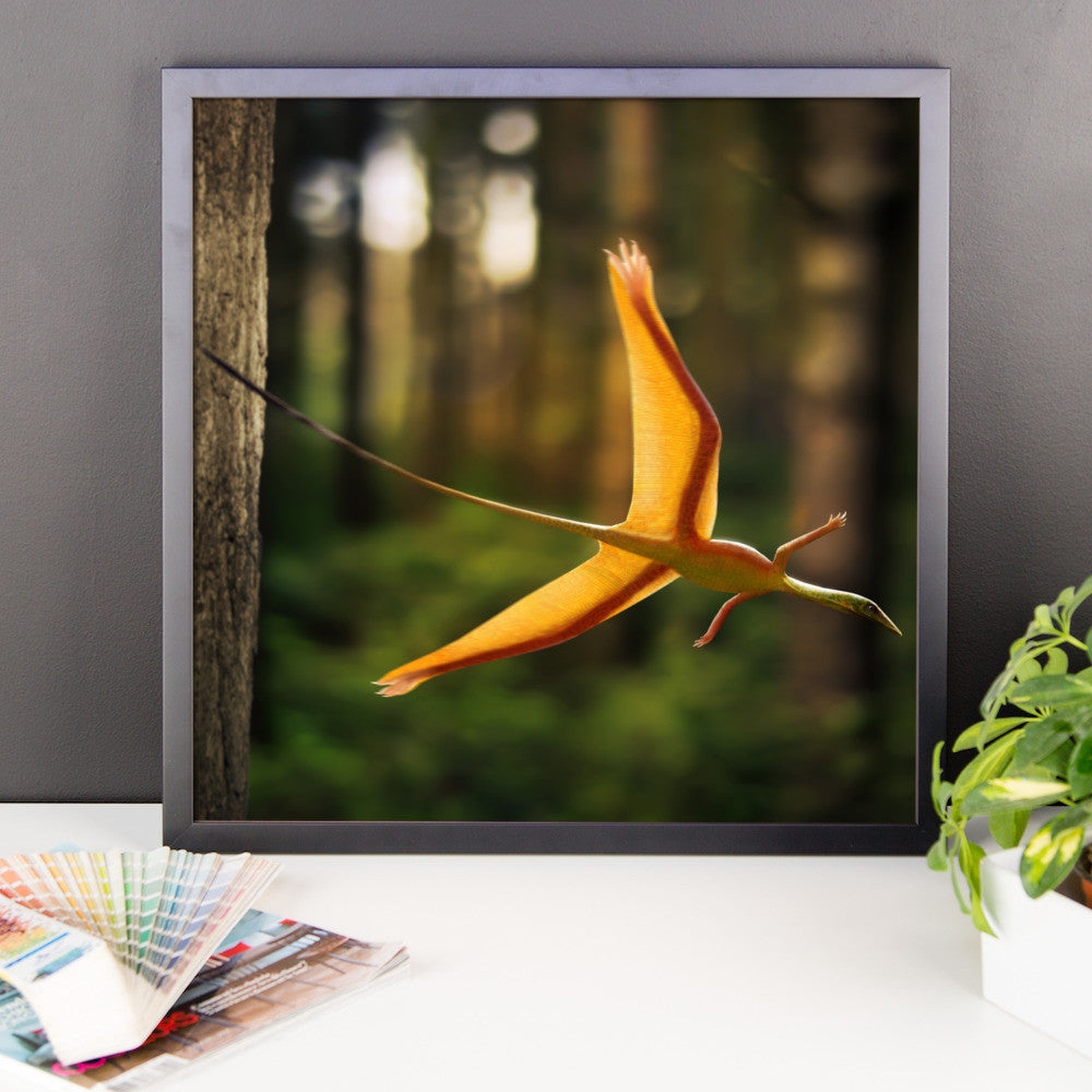 Sharovipteryx framed print