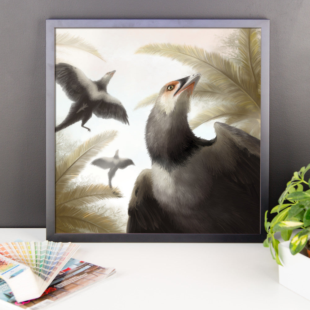 Archaeopteryx framed print