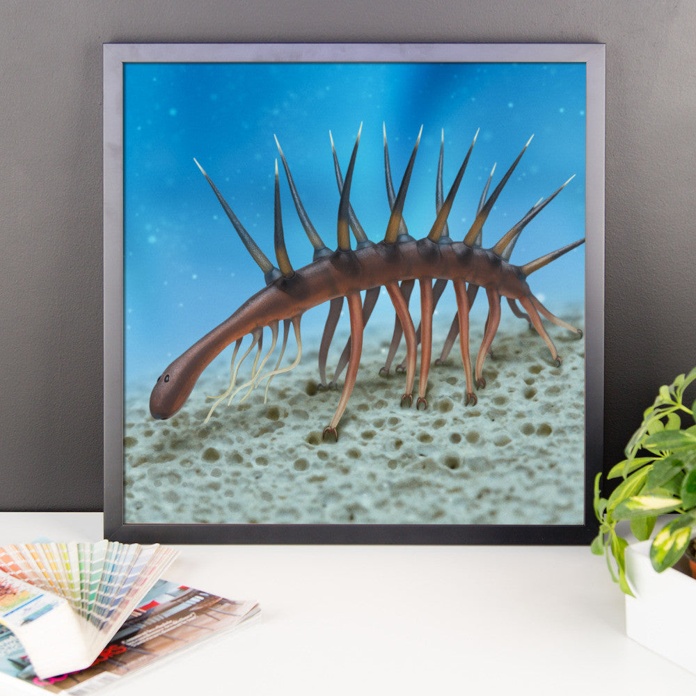 Hallucigenia framed print